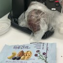 (주)텐포켓 | 일상 | 172cm 54kg 직장인 저체중 대식좌 일주일 식사량 (급찐급빠 식단)