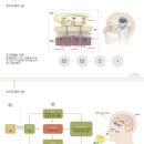 [25-3] 라니의 알아차림 요가&명상(with.아로마 오일) | 웰니스컬리지 3주차 후기: MBSR/ 웰니스프로그램 지도방법/ 삶과 죽음에 관한 명상/ 아로마테라피
