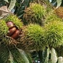 우이감자탕 이미지