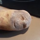 화가의눈미술
