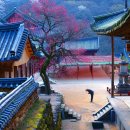 오*성 - 미추홀구 미추홀대로645번길 53 | 오*성