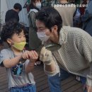 가평실내수영장온수무료펜션B | 가평 팬션 가평실내수영장온수무료펜션 모든 즐길거리가 무료인 팬션