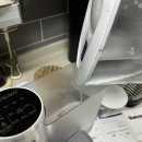 스타일펫츠 | 푸푸펫츠 자동급수기 강아지 정수기로 음수량 확 늘린 추천 후기