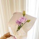 신월동246 이미지