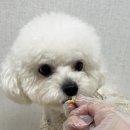 뽀까부엌 이미지