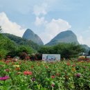 진안마이돈 이미지