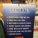 [문래] 노포 감성 가득한 &#34;물래포차&#34;