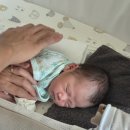 자연머금세진공업점 | 모로반사가 심한 아기를 위한 머미쿨쿨 사용 찐후기