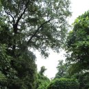 우면산5-9 이미지