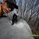 은화목장 이미지