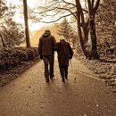 대한노인회동구노인회관 이미지