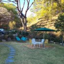 유정1955 이미지