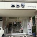 노노 | 운정 애견미용 비숑 목욕후기 노노펫