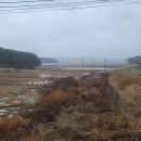 부리태양광발전소 이미지