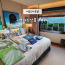 살롱비비드 - 익산시 동서로 511 | 신라호텔 서울 아트 살롱 전시 2026 후기 무료로 가는법