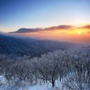 녹색정원 - 경산시 경안로22길 10 | 녹색정원