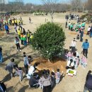 희망나무심기3 이미지