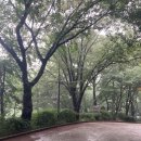 서곶근린공원 족구장 이미지