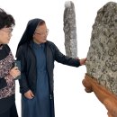 신자;꽃