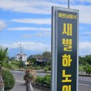 새별하노이 - 서귀포시 | 새별하노이