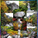 비라리 이미지