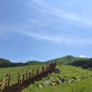 2020년 07월 21일(화) 가평 잣향기 푸른숲 걷기 이미지