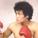 장정구 복싱 이미지