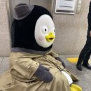 서대포소금구이 이미지