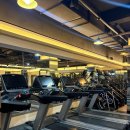 분당서현 이미지