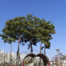 물병자리공원 이미지