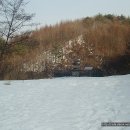 금바우 Daum카페
