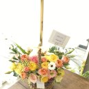 사파동359 이미지