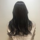 라라엘헤어
