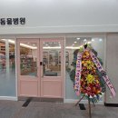 쿨펫동물병원(탄방점) 네이버블로그