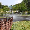 금강올갱이 이미지