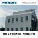 상하한아름목장 | 제주도 성산 아이와 가기 좋은 우유 카페! 어니스트밀크 본점