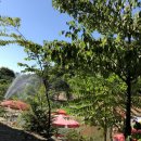 캠프M817 이미지