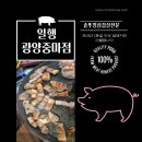 중진초교 | 광양 중마동 신상 솥뚜껑 삼겹살 맛집 일행