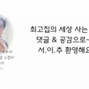 쿨펫(평촌) 네이버블로그