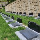 농협 모현지점 앞 이미지