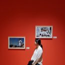 포항 여행 &#39;호미곶 해맞이 광장, 스페이스 워크, 유채꽃밭&#39;