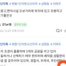 The보평공인중개사사무소 이미지