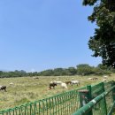 인쌩맥주제주연동점 | 제주--- 2박 3일 여행 코스 2일차