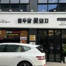 열두달꽃돼지 이미지