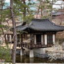(주)꼭좋은나라만들기 메종코리아