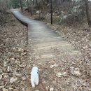 지코바 청라점 | 뿌꾸기록 :: 임신29주 / 백일해 주사 접종/ 임산부 숨참