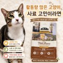 설가 | 1년 미만 고양이 사료 아카나 하이프로틴 와일드 프레이리 캣 급여 후기