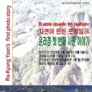 자연기획 이미지
