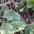 무재농장 이미지