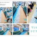 ♬ 오늘의 부산경찰 페이스북-바다열차?!? 이미지